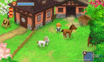 Harvest Moon: Tale of Two Towns 3DS Not Coming to Japan - News - Nintendo  World Report