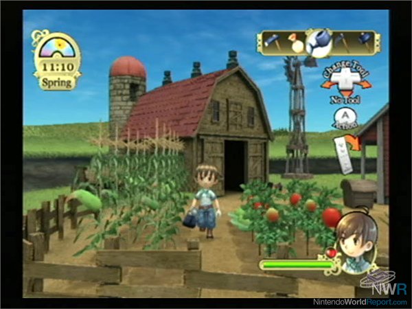 how to get money in harvest moon boy and girl psp