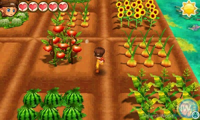 Story of Seasons: Trio of Towns Review - Review - Nintendo Report