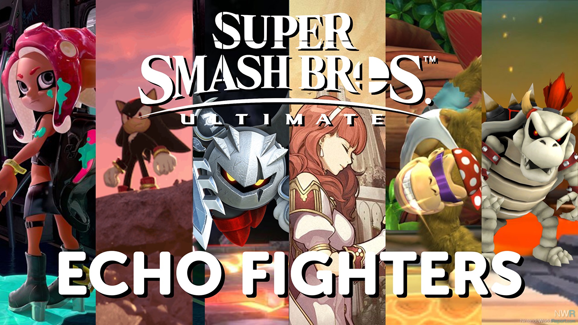 Possible Echo Fighters for Super Smash Bros. Ultimate - Feature - Nintendo  World Report
