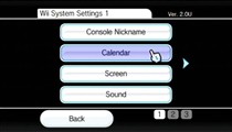 Change the date in the Wii Settings area