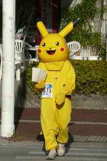 Pikachu Crossing
