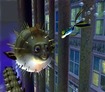 Oh, so that's what puffer fish do