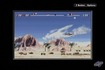 Flying over the desert