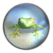 Frog Ball