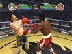 Rocky for GameCube